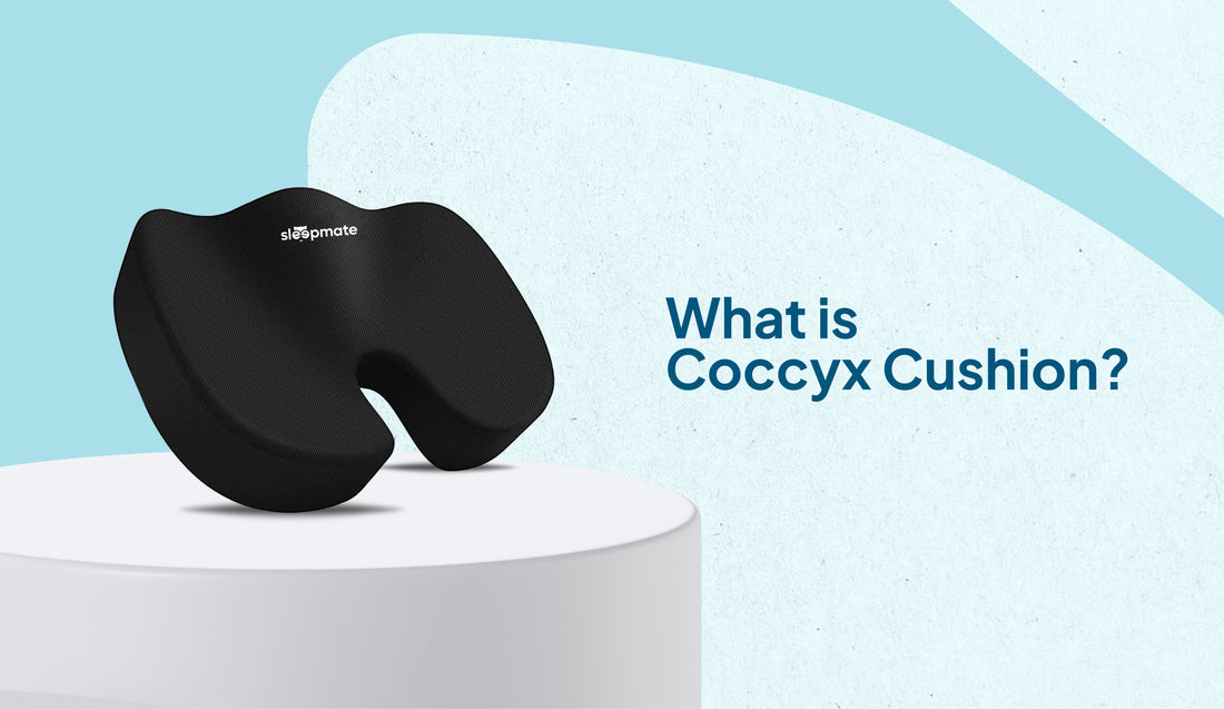 How Coccyx Pillows Can Transform Your Day?